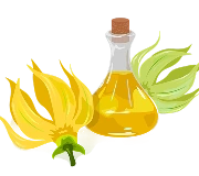 Botanical flower beside a flask of golden extract